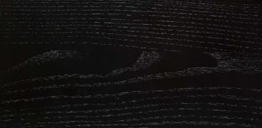 Ash Black Finish Sample