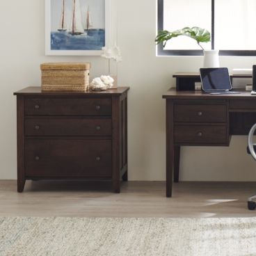 Real wood wide file cabinet