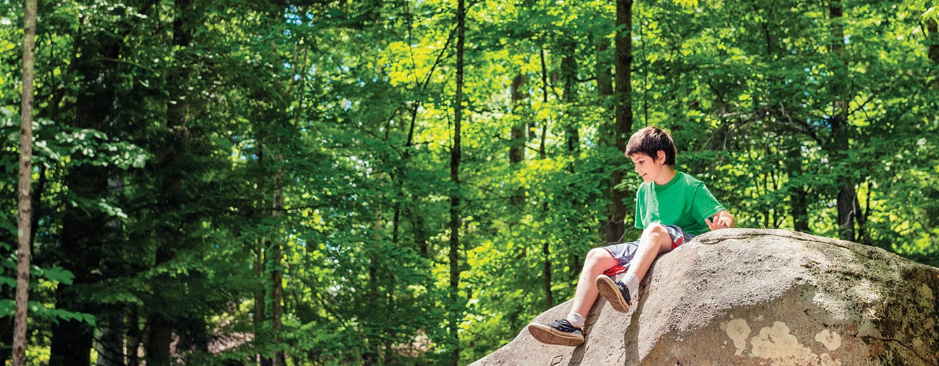 Photo of a boy sitting on a rock in a forest